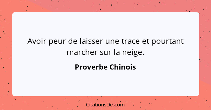 Avoir peur de laisser une trace et pourtant marcher sur la neige.... - Proverbe Chinois