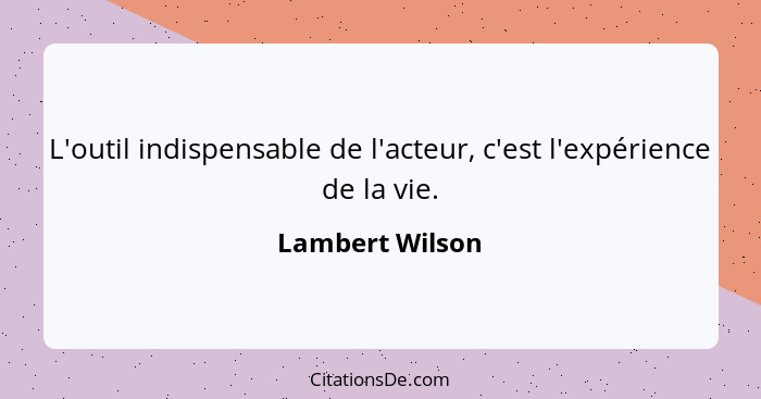 L'outil indispensable de l'acteur, c'est l'expérience de la vie.... - Lambert Wilson