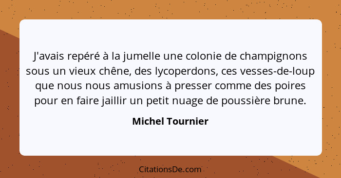 J'avais repéré à la jumelle une colonie de champignons sous un vieux chêne, des lycoperdons, ces vesses-de-loup que nous nous amusio... - Michel Tournier