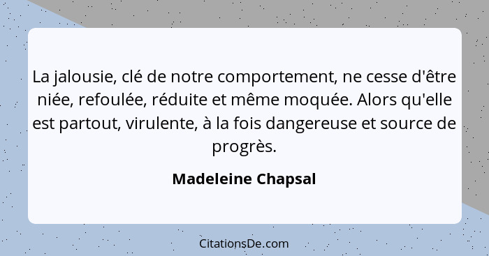 La jalousie, clé de notre comportement, ne cesse d'être niée, refoulée, réduite et même moquée. Alors qu'elle est partout, virulen... - Madeleine Chapsal