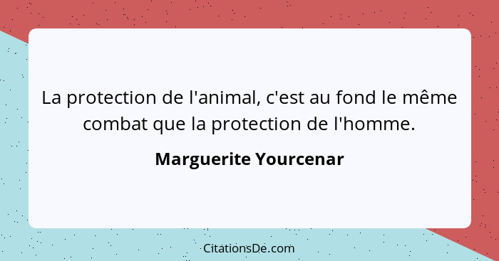 La protection de l'animal, c'est au fond le même combat que la protection de l'homme.... - Marguerite Yourcenar