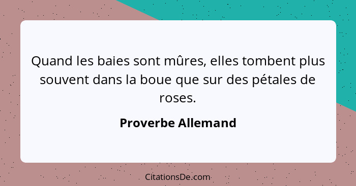 Quand les baies sont mûres, elles tombent plus souvent dans la boue que sur des pétales de roses.... - Proverbe Allemand