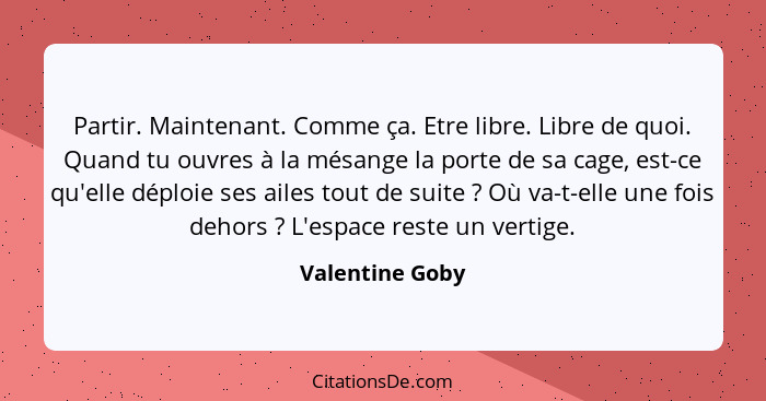 Partir. Maintenant. Comme ça. Etre libre. Libre de quoi. Quand tu ouvres à la mésange la porte de sa cage, est-ce qu'elle déploie ses... - Valentine Goby