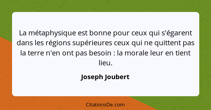 La métaphysique est bonne pour ceux qui s'égarent dans les régions supérieures ceux qui ne quittent pas la terre n'en ont pas besoin&... - Joseph Joubert