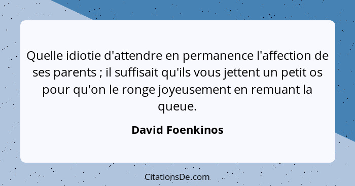 Quelle idiotie d'attendre en permanence l'affection de ses parents ; il suffisait qu'ils vous jettent un petit os pour qu'on le... - David Foenkinos