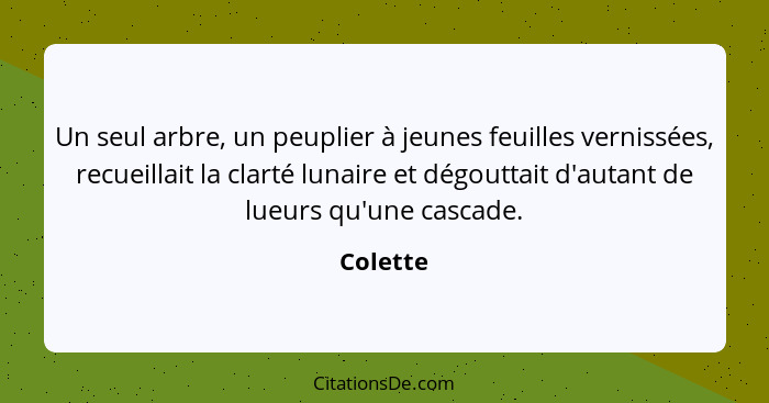 Un seul arbre, un peuplier à jeunes feuilles vernissées, recueillait la clarté lunaire et dégouttait d'autant de lueurs qu'une cascade.... - Colette