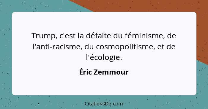 Trump, c'est la défaite du féminisme, de l'anti-racisme, du cosmopolitisme, et de l'écologie.... - Éric Zemmour
