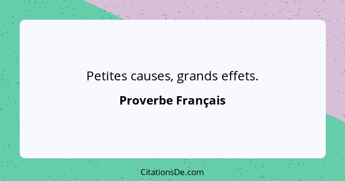 Petites causes, grands effets.... - Proverbe Français
