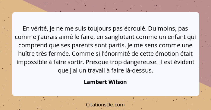 En vérité, je ne me suis toujours pas écroulé. Du moins, pas comme j'aurais aimé le faire, en sanglotant comme un enfant qui comprend... - Lambert Wilson