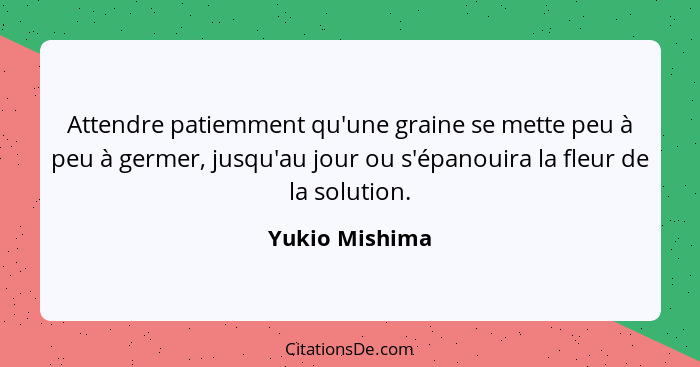 Attendre patiemment qu'une graine se mette peu à peu à germer, jusqu'au jour ou s'épanouira la fleur de la solution.... - Yukio Mishima