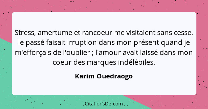 Stress, amertume et rancoeur me visitaient sans cesse, le passé faisait irruption dans mon présent quand je m'efforçais de l'oublier... - Karim Ouedraogo