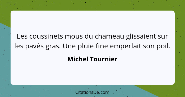 Les coussinets mous du chameau glissaient sur les pavés gras. Une pluie fine emperlait son poil.... - Michel Tournier