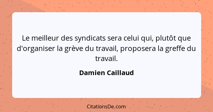 Le meilleur des syndicats sera celui qui, plutôt que d'organiser la grève du travail, proposera la greffe du travail.... - Damien Caillaud