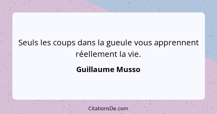 Seuls les coups dans la gueule vous apprennent réellement la vie.... - Guillaume Musso