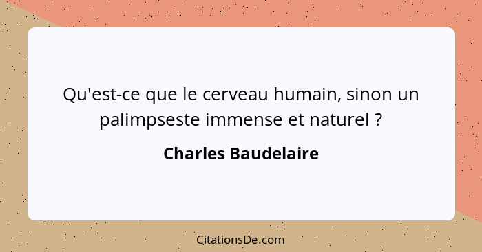 Qu'est-ce que le cerveau humain, sinon un palimpseste immense et naturel ?... - Charles Baudelaire