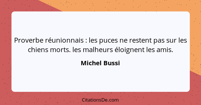 Proverbe réunionnais : les puces ne restent pas sur les chiens morts. les malheurs éloignent les amis.... - Michel Bussi