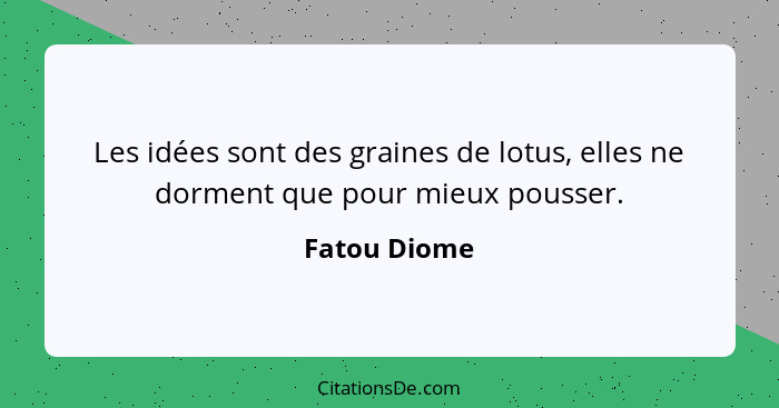 Les idées sont des graines de lotus, elles ne dorment que pour mieux pousser.... - Fatou Diome