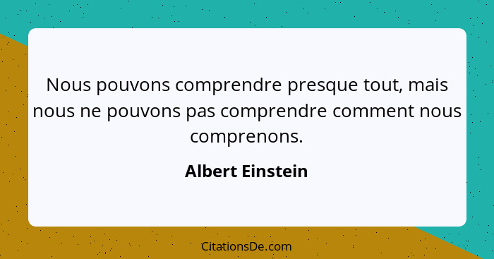 Nous pouvons comprendre presque tout, mais nous ne pouvons pas comprendre comment nous comprenons.... - Albert Einstein