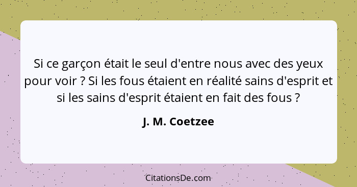 Si ce garçon était le seul d'entre nous avec des yeux pour voir ? Si les fous étaient en réalité sains d'esprit et si les sains d... - J. M. Coetzee