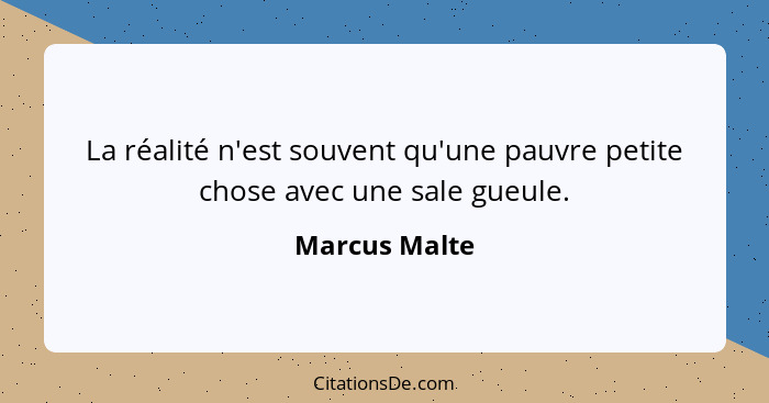 La réalité n'est souvent qu'une pauvre petite chose avec une sale gueule.... - Marcus Malte