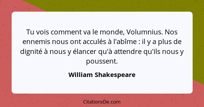 Tu vois comment va le monde, Volumnius. Nos ennemis nous ont acculés à l'abîme : il y a plus de dignité à nous y élancer qu... - William Shakespeare