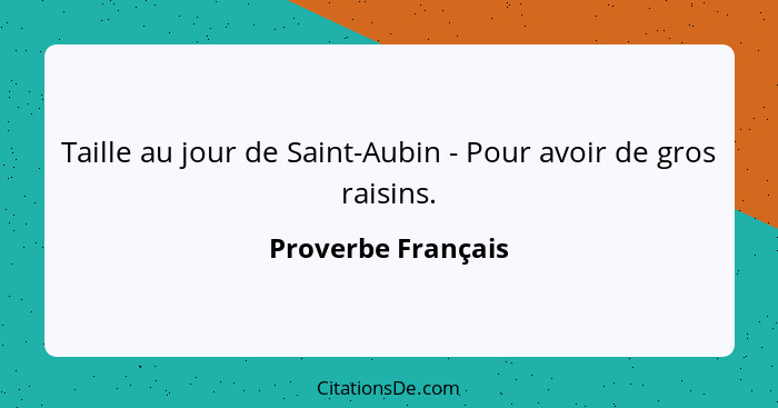 Taille au jour de Saint-Aubin - Pour avoir de gros raisins.... - Proverbe Français