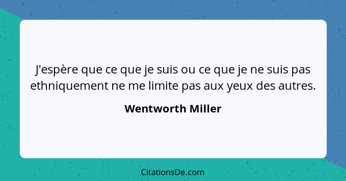 J'espère que ce que je suis ou ce que je ne suis pas ethniquement ne me limite pas aux yeux des autres.... - Wentworth Miller