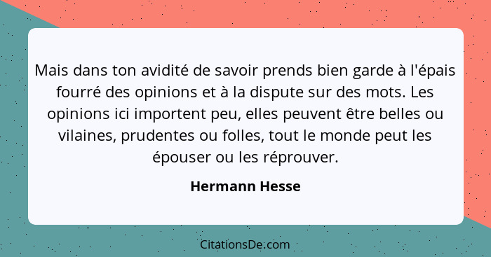 Mais dans ton avidité de savoir prends bien garde à l'épais fourré des opinions et à la dispute sur des mots. Les opinions ici importe... - Hermann Hesse