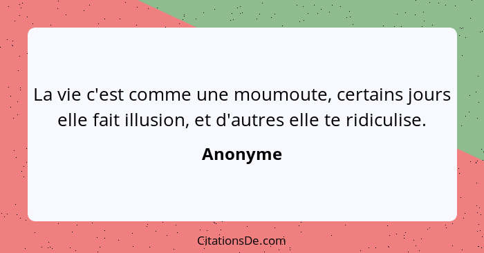 La vie c'est comme une moumoute, certains jours elle fait illusion, et d'autres elle te ridiculise.... - Anonyme