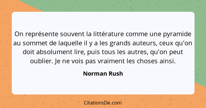 On représente souvent la littérature comme une pyramide au sommet de laquelle il y a les grands auteurs, ceux qu'on doit absolument lire... - Norman Rush