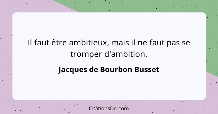 Il faut être ambitieux, mais il ne faut pas se tromper d'ambition.... - Jacques de Bourbon Busset