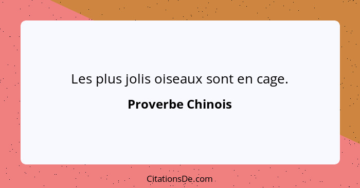 Les plus jolis oiseaux sont en cage.... - Proverbe Chinois