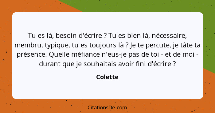 Tu es là, besoin d'écrire ? Tu es bien là, nécessaire, membru, typique, tu es toujours là ? Je te percute, je tâte ta présence. Qu... - Colette