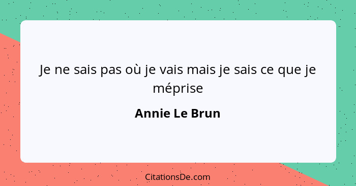 Je ne sais pas où je vais mais je sais ce que je méprise... - Annie Le Brun