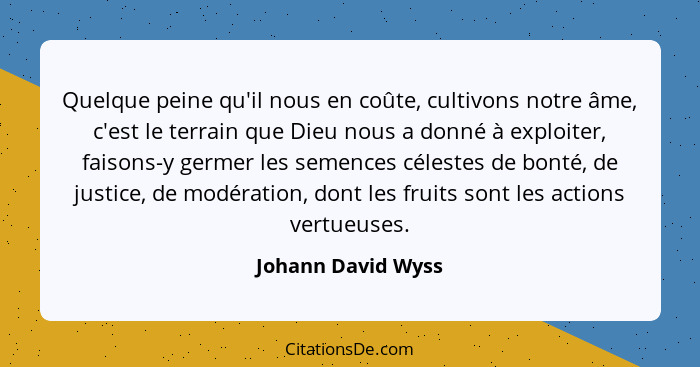 Quelque peine qu'il nous en coûte, cultivons notre âme, c'est le terrain que Dieu nous a donné à exploiter, faisons-y germer les s... - Johann David Wyss