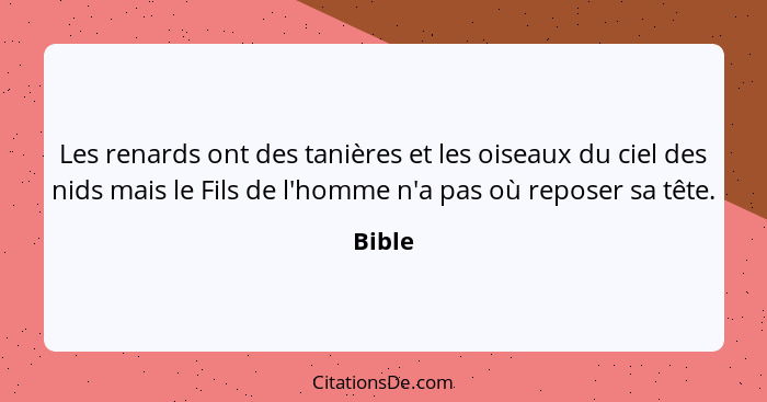 Les renards ont des tanières et les oiseaux du ciel des nids mais le Fils de l'homme n'a pas où reposer sa tête.... - Bible