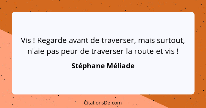 Vis ! Regarde avant de traverser, mais surtout, n'aie pas peur de traverser la route et vis !... - Stéphane Méliade