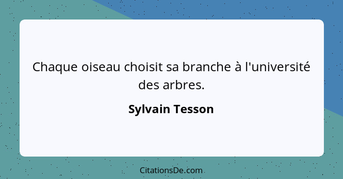 Chaque oiseau choisit sa branche à l'université des arbres.... - Sylvain Tesson