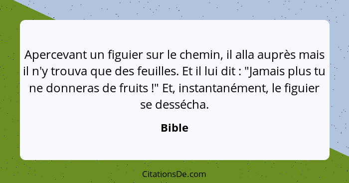 Apercevant un figuier sur le chemin, il alla auprès mais il n'y trouva que des feuilles. Et il lui dit : "Jamais plus tu ne donneras de f... - Bible