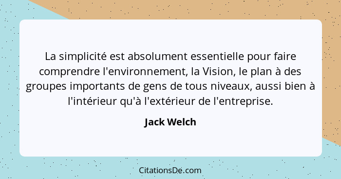 La simplicité est absolument essentielle pour faire comprendre l'environnement, la Vision, le plan à des groupes importants de gens de to... - Jack Welch