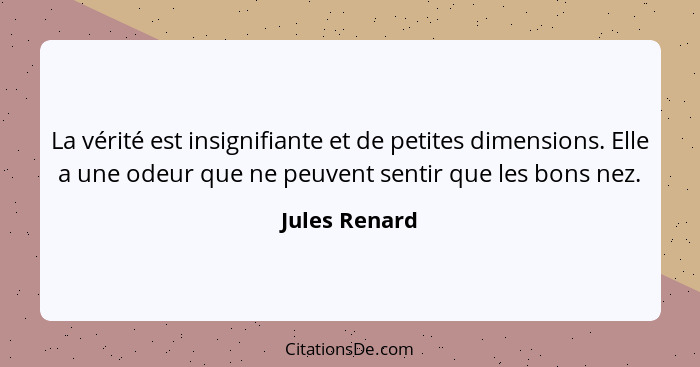 La vérité est insignifiante et de petites dimensions. Elle a une odeur que ne peuvent sentir que les bons nez.... - Jules Renard