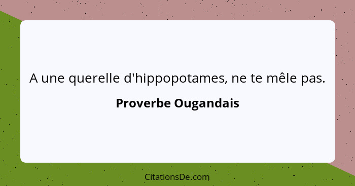 A une querelle d'hippopotames, ne te mêle pas.... - Proverbe Ougandais