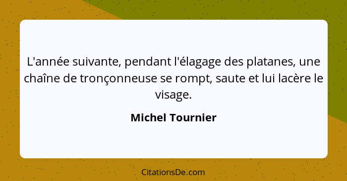 L'année suivante, pendant l'élagage des platanes, une chaîne de tronçonneuse se rompt, saute et lui lacère le visage.... - Michel Tournier