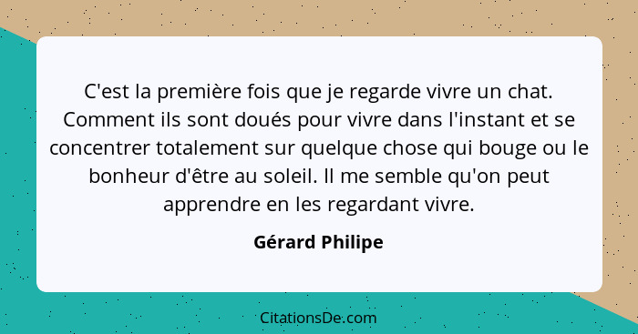 C'est la première fois que je regarde vivre un chat. Comment ils sont doués pour vivre dans l'instant et se concentrer totalement sur... - Gérard Philipe