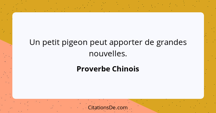 Un petit pigeon peut apporter de grandes nouvelles.... - Proverbe Chinois