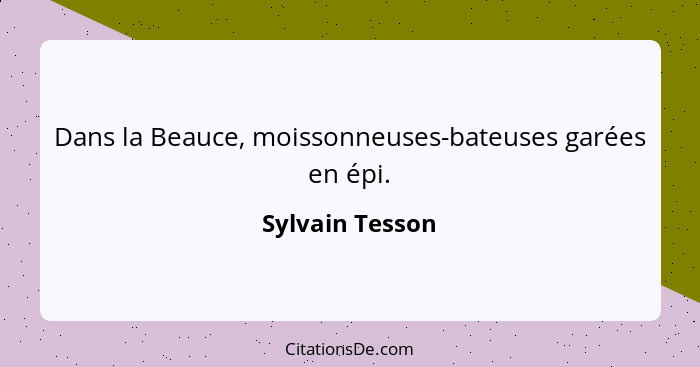 Dans la Beauce, moissonneuses-bateuses garées en épi.... - Sylvain Tesson