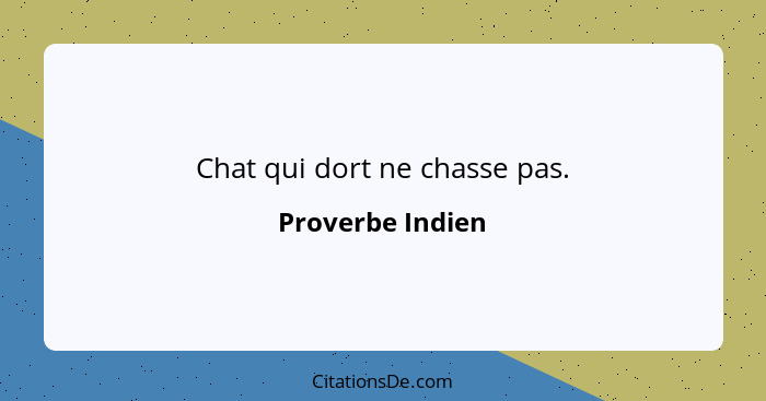 Chat qui dort ne chasse pas.... - Proverbe Indien