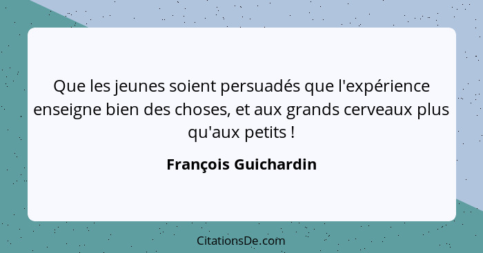 Que les jeunes soient persuadés que l'expérience enseigne bien des choses, et aux grands cerveaux plus qu'aux petits !... - François Guichardin