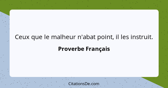 Ceux que le malheur n'abat point, il les instruit.... - Proverbe Français