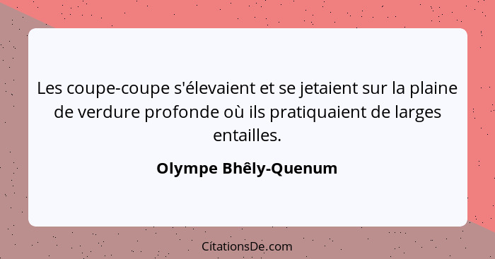 Les coupe-coupe s'élevaient et se jetaient sur la plaine de verdure profonde où ils pratiquaient de larges entailles.... - Olympe Bhêly-Quenum